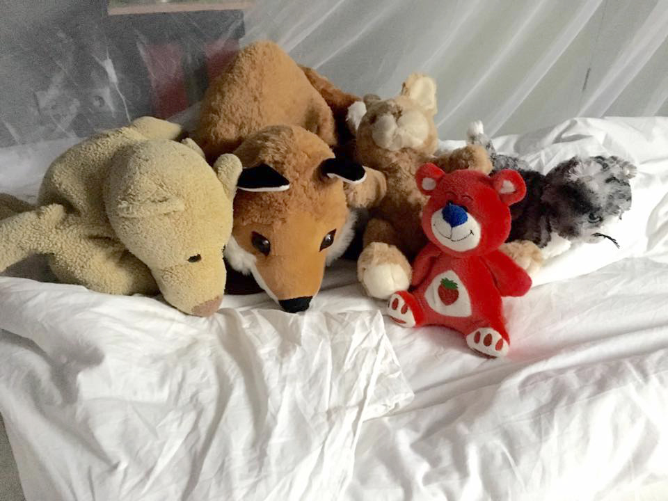 Knuffels | Ronald de Jong fotografie